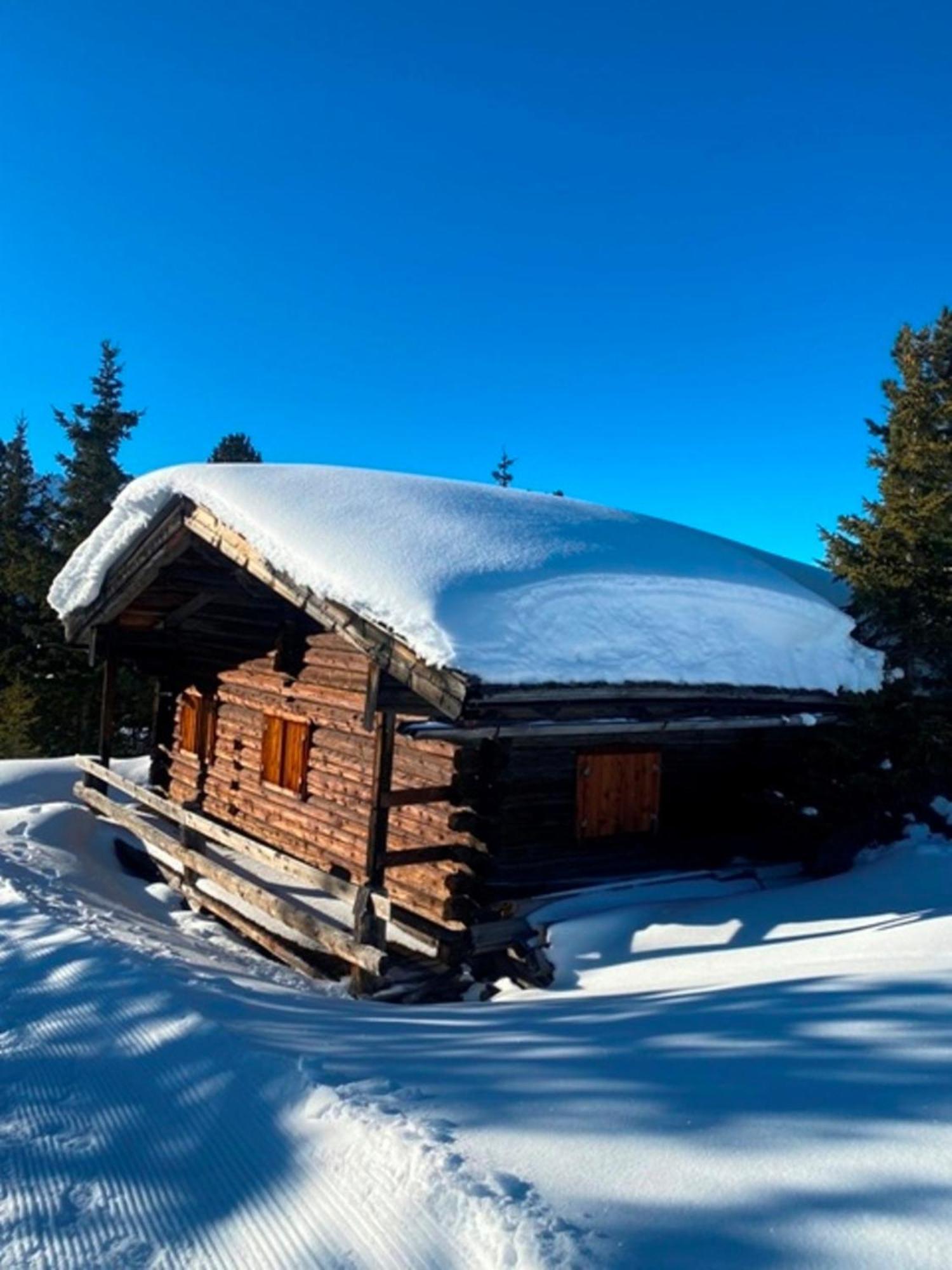 Haus Dora Apartment 3 Ahorn Mayrhofen Exteriör bild